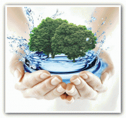 Программа "Чистая вода" в Ленобласти буксует