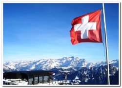 Швейцарцы посетили полигон "Красный Бор"