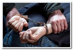 Тосненские полицейские задержали подозреваемого в педофилии