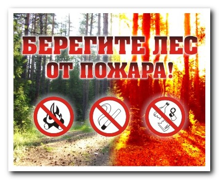 Берегите лес от пожаров!