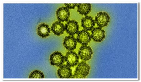 Растет уровень заболеваемости ротавирусной инфекцией